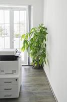 Büro mit grüner Zimmerpflanze auf weißem Hintergrund für dekoratives Design. Innendekoration des Zimmers. grünes Design im Inneren foto