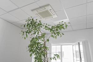 Niedriger Winkel der Assette-Klimaanlage an der Decke in modernen hellen Büros oder Wohnungen mit grünen Ficus-Pflanzenblättern. Raumluftqualität foto