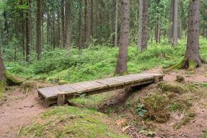 Holzbrücke im Wald foto