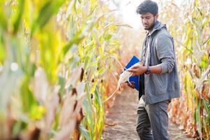 südasiatischer Agronom Bauer inspiziert Maisfeldbauernhof. landwirtschaftliches Produktionskonzept. foto