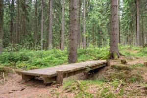 Holzbrücke im Wald foto