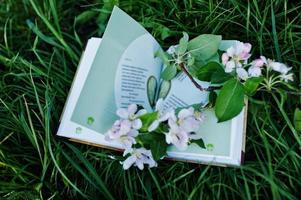 Buchseiten mit Zweigen des Blütenbaums auf grünem Gras. foto