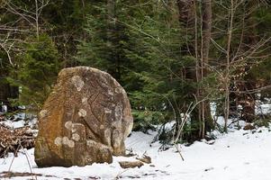 Alte große Steine mit Gravur im grünen Wald mit wenig Schneedecke in den Karpaten. foto