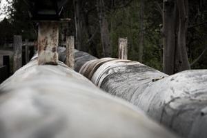 alte Pipelines in der Natur foto