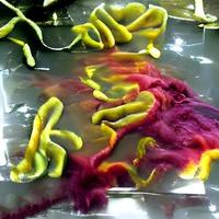 wissenschaftliches bild von bakterien citrobacter, gramnegative bakterien, illustration. im menschlichen Darm gefunden, kann Harnwegsinfektionen, Säuglingsmeningitis und Sepsis verursachen foto