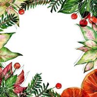weihnachtstextraum quadratischer rahmen mit aquarellweihnachtsstern und orangen und roten beeren foto