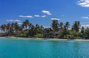 schöner tropischer naturstrand und waldpanorama contoy island mexiko. foto