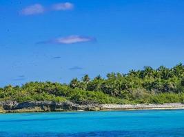 schöner tropischer naturstrand und waldpanorama contoy island mexiko. foto