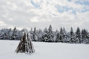 schneebedeckte kiefern. wunderschöne Winterlandschaften. Frost Natur. foto