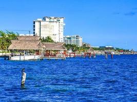 Playa Azul Beach Palm Seascape Panorama in Cancun Mexiko. foto