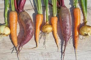 frisch geerntete einheimische Bio-Rote Beete, Zwiebel und Karotte auf Holztisch. Draufsicht, Kopierbereich. foto