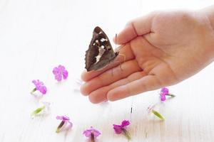 die Hand des Kindes, die Schmetterling über weißem hölzernem Hintergrund und Weidenblumen hält foto