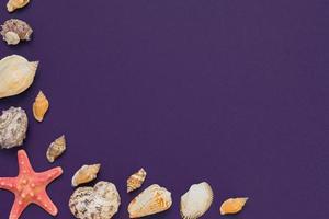 Muscheln und Seesterne auf violettem Hintergrund mit Kopierraum. sommerferien- und urlaubskonzept foto