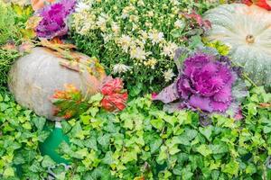 Halloween-Herbstdekoration aus Kürbissen und Chrysanthemenblumen auf der Straße. ländliches Marktkonzept foto