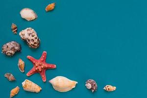 Muscheln und Seesterne auf hellblauem Hintergrund mit Kopierraum. sommerferien- und urlaubskonzept foto