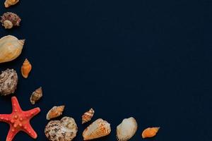 Muscheln und Seesterne auf marineblauem Hintergrund mit Kopierraum. sommerferien- und urlaubskonzept foto