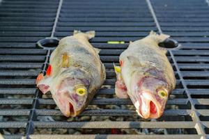 gegrillter frischer Barschfisch. grillen meeresfrüchte auf feuer im freien. foto