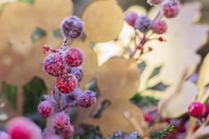 weihnachts- und neujahrsferien hintergrund. weihnachtsbaum geschmückt mit roten bereiften beeren und kugeln. feierkonzept foto