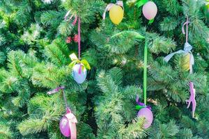 Osterhintergrund - bunte Ostereier, die am Tannenbaum hängen foto