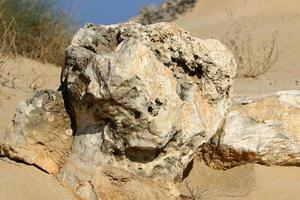 Textur von Felsen und Steinen in einem Stadtpark in Israel. foto