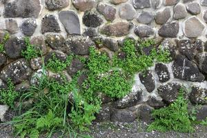 naharija israel 24. september 2019. hohe mauer aus stein und beton. foto