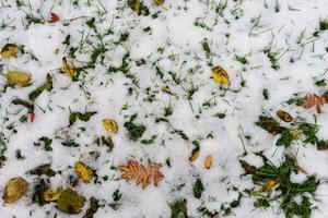 natürlicher natürlicher hintergrund mit herbstlaub auf schnee foto