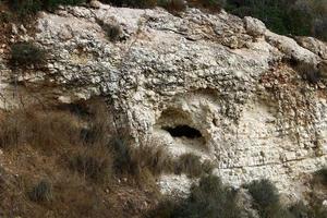 Textur von Felsen und Steinen in einem Stadtpark in Israel. foto