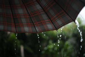 Regen und Blätter, Wassertropfen an regnerischen Tagen foto