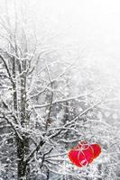 Bäume im Schnee. Herz. foto