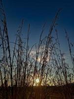 schöne Aussicht auf den Sonnenuntergang auf der Straße hinter dem Gras foto