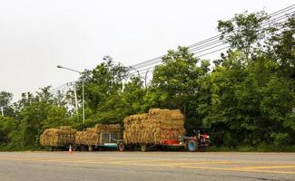 viele Ballen Reisstroh werden auf kleine landwirtschaftliche Lastwagen geladen. foto