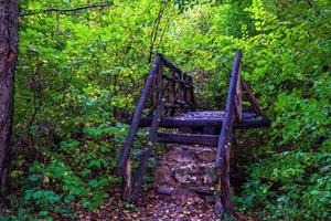 schöne handgefertigte Holzbrücke im Wanderwegwald foto