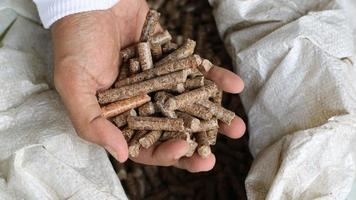 Hand eines erwachsenen Mannes, der ein Holzpellet hält foto