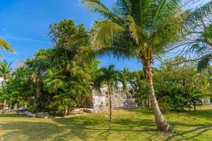 playacar maya-ruinen im waldpark in playa del carmen, yucatan, mexiko foto