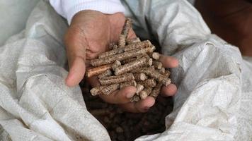 Hand eines erwachsenen Mannes, der ein Holzpellet hält foto