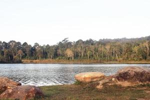 Park mit Teich und natürlichem Baumgarten foto