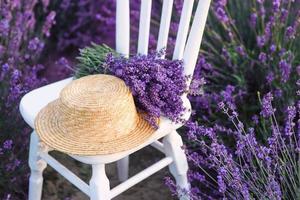 weißer stuhl mit lavendelstrauß und strohhut an wunderschönen lavendelblüten blühen. reise, natur, sommer, landwirtschaftskonzept foto