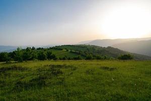 Landschaft Natur Sommer foto