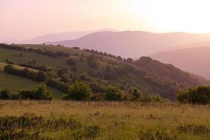 Landschaft Natur Sommer foto