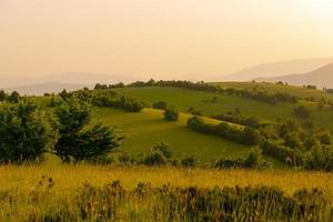 Landschaft Natur Sommer foto