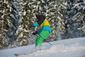 Wintermenschen Spaß und Ski foto