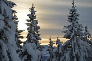 Winter Berglandschaft foto