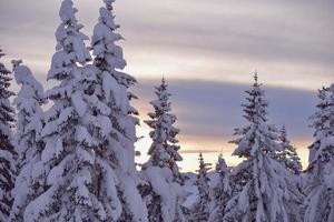 Bergwinterlandschaft foto