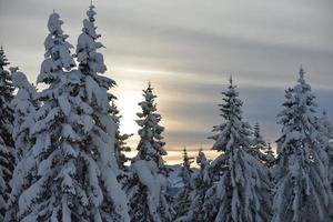 Winter Berglandschaft foto