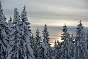 Winter Berglandschaft foto