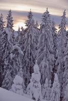 Bergwinterlandschaft foto