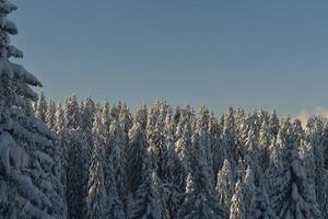 Winter Berglandschaft foto