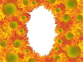 Sonnenblumen, Gerbera-Hintergrund, Rand, Clipart, Karte, Einladung. gelbe, orange Blüten. Hochzeit, Geburtstagskarte. foto