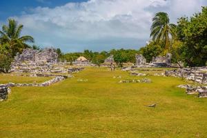 leguaneidechse in alten ruinen von maya in der archäologischen zone el rey in der nähe von cancun, yukatan, mexiko foto