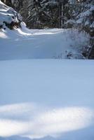 Winterlandschaft im Wald bei Sonnenuntergang foto